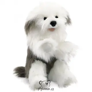 Staroanglický ovčácký pes Bobtail