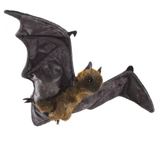 Kaloň (netopýr)