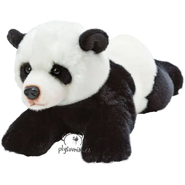 Panda Yomiko