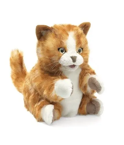 Zrzavá kočka Tabby