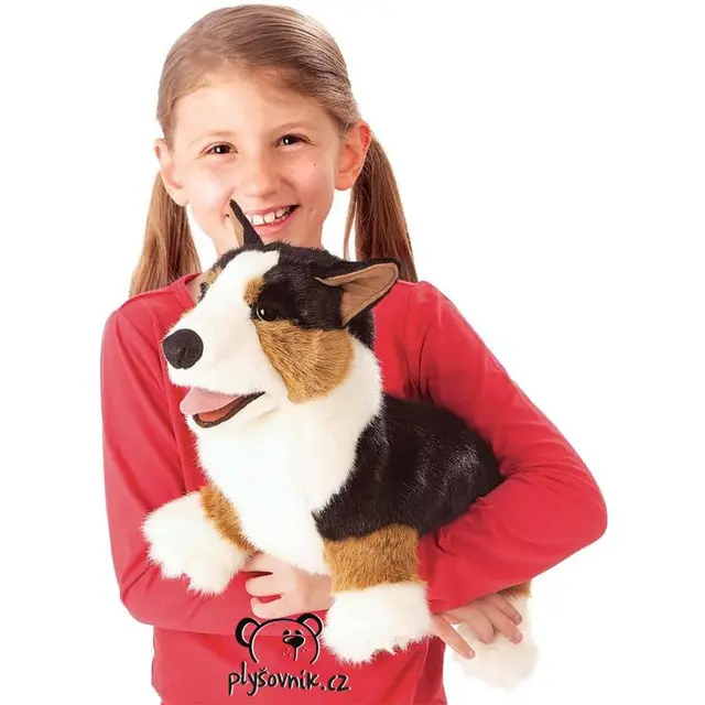 Welsh Corgi Pembroke