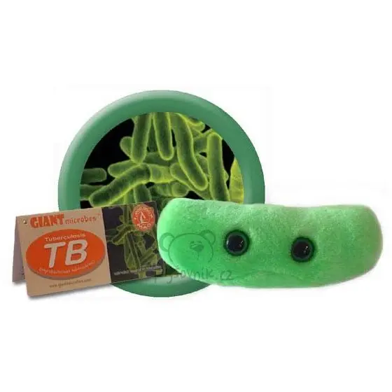 Tuberkulóza (TBC)