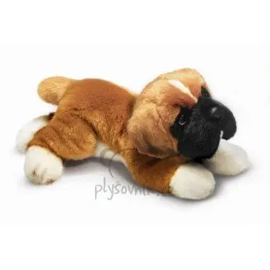 Boxer menší
