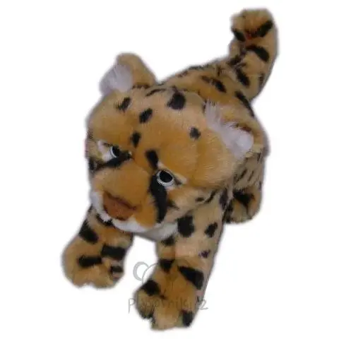 Gepard