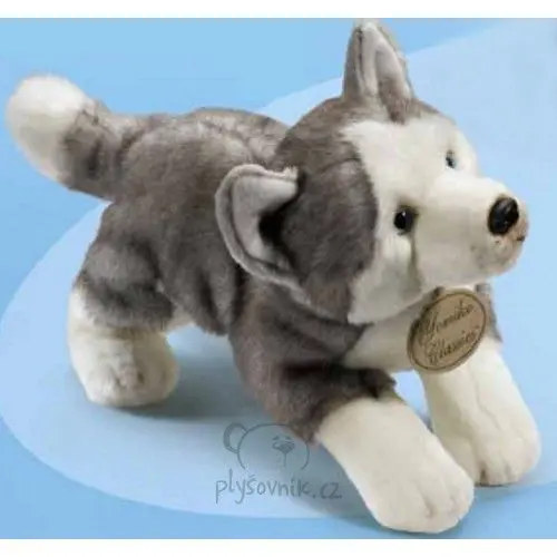 Husky velký