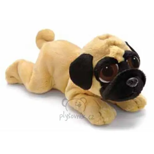 Mops Pippin