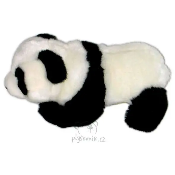 Mládě pandy