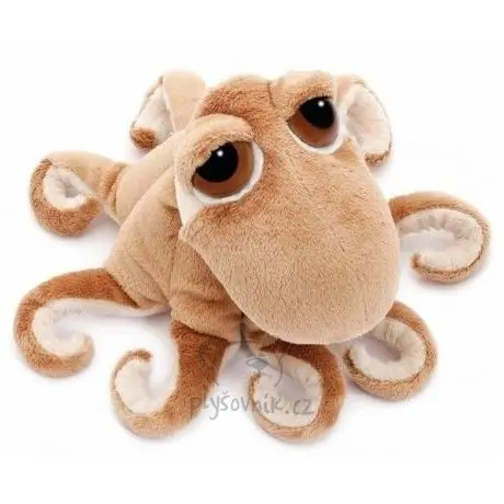 Chobotnice Octopus menší