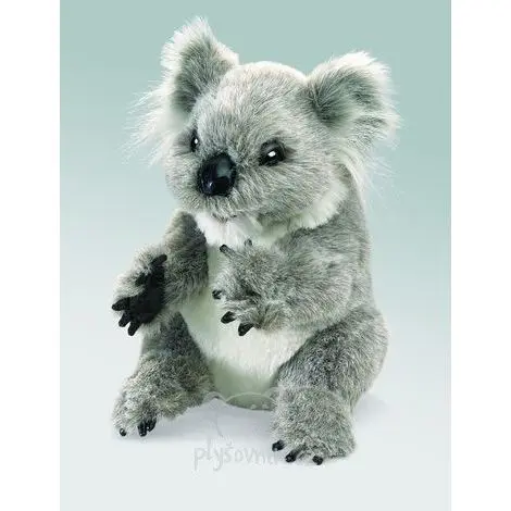 Koala menší