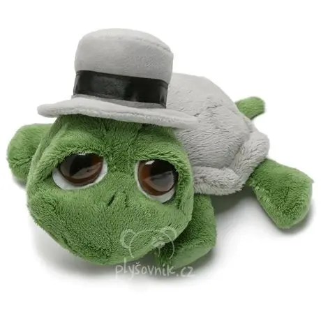 Želva Shecky ženich