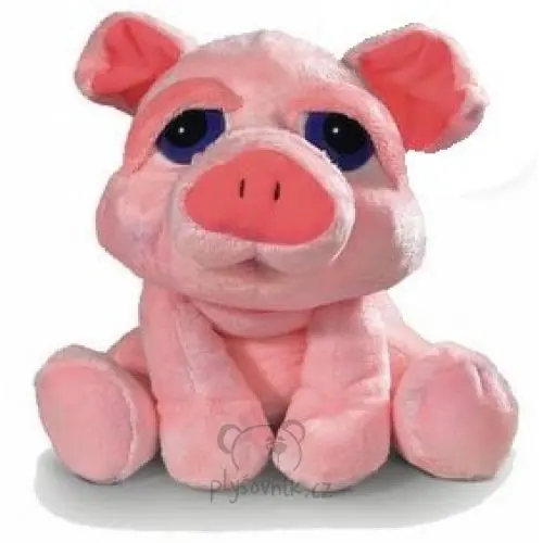Prase Audrey menší