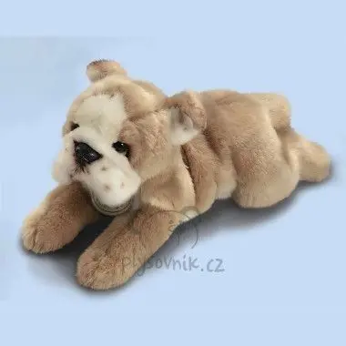 Buldog menší