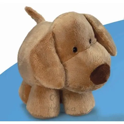 Zlatý retriever