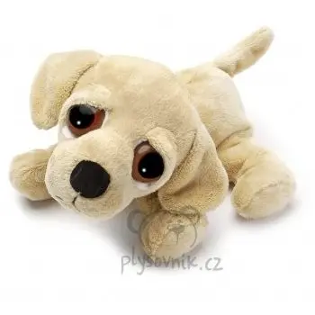 Labrador Barney menší
