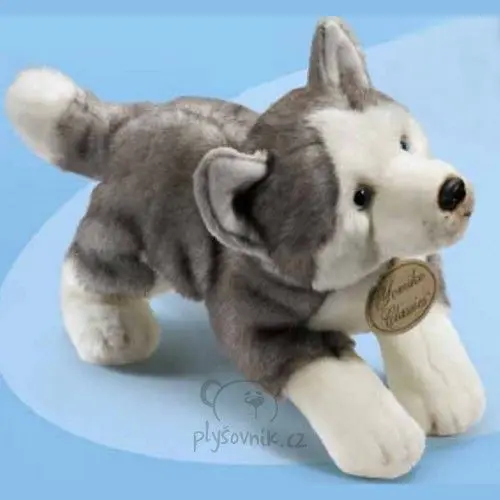Husky velký