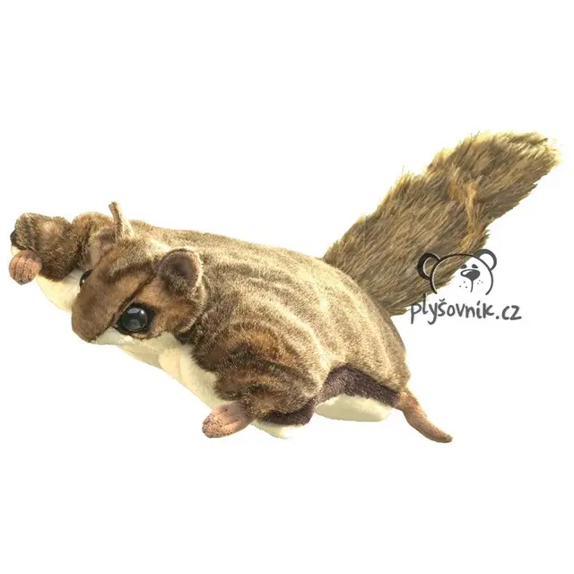 Poletucha