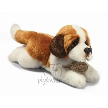 Bernardýn menší