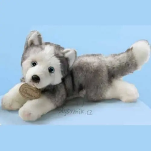 Husky menší