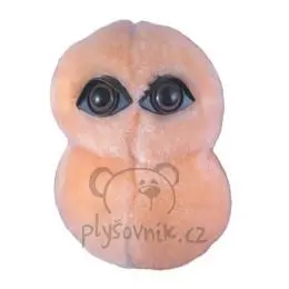 Zápal plic