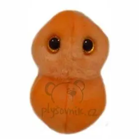Zánět ucha