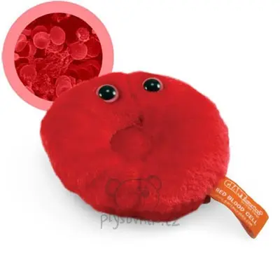 Červená krvinka