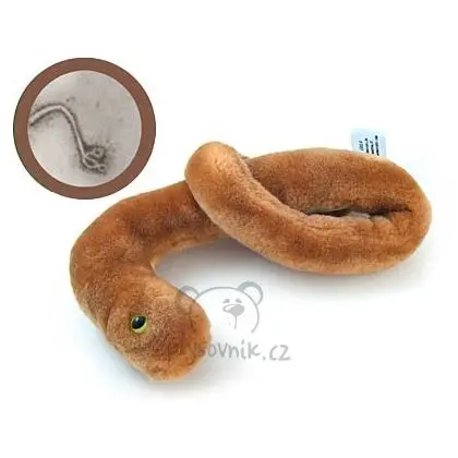 Ebola