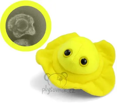 Opar (Herpes)