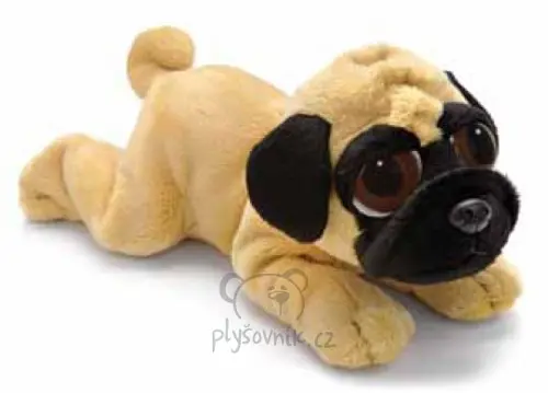 Mops Pippin menší