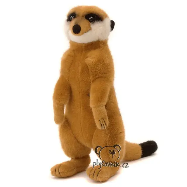 Surikata Fritz