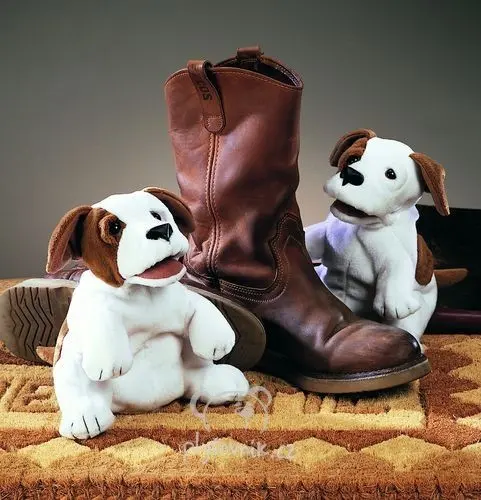Malý beagle