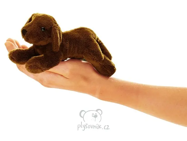 Maňásek na prst labrador
