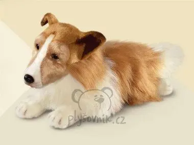 Velká kolie Lassie