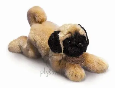 Menší mops