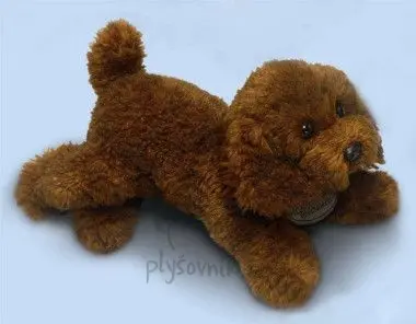 Velký hnědý pudl