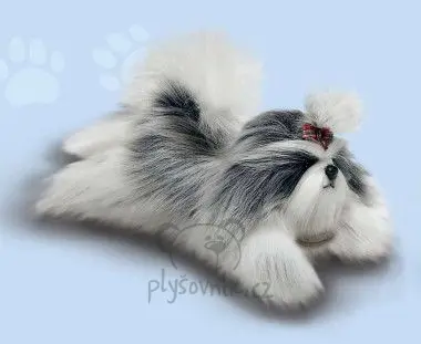 Štěně shih-tzu