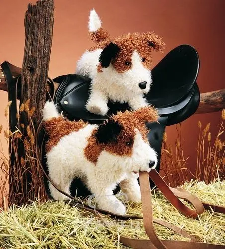 Jack Russell teriér
