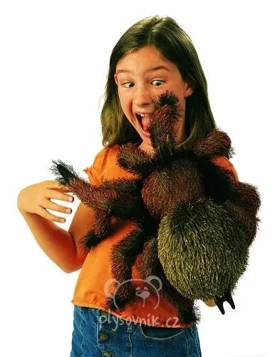 Obří tarantule