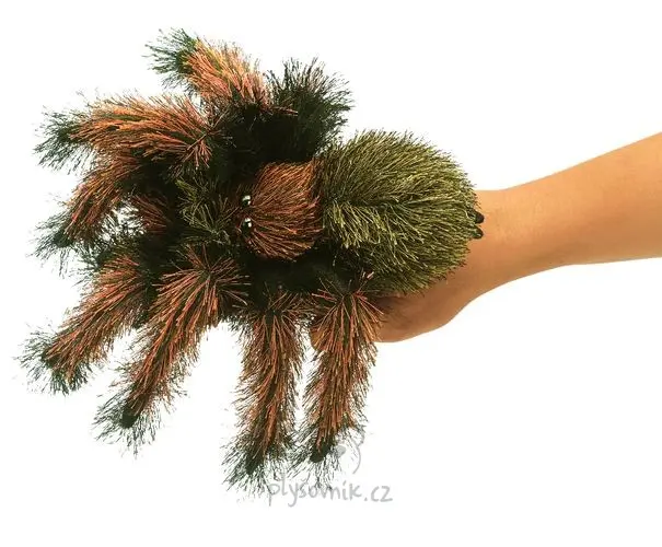 Tarantule
