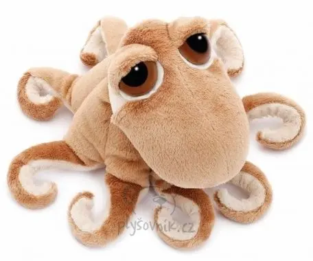 Chobotnice Octopus