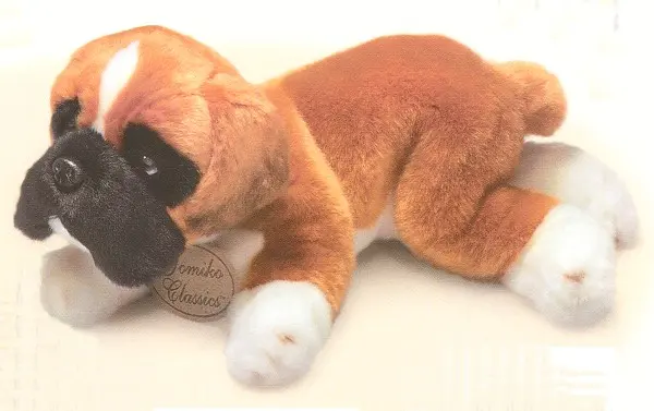 Boxer velký