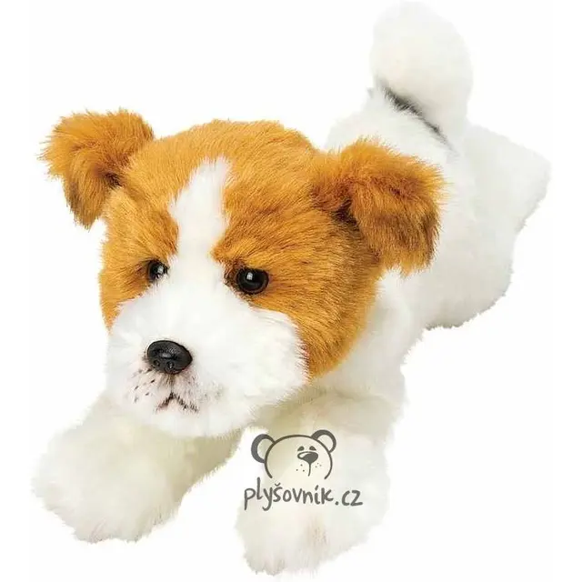 Jack russell teriér