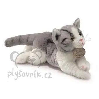 Mourovatá kočka