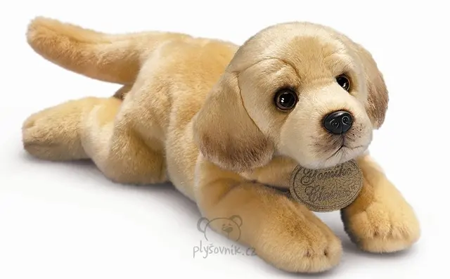 Velký labrador