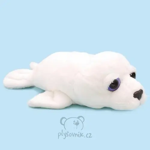 Tuleň Icy bílý