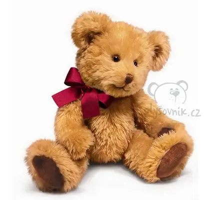 Medvěd Braden menší