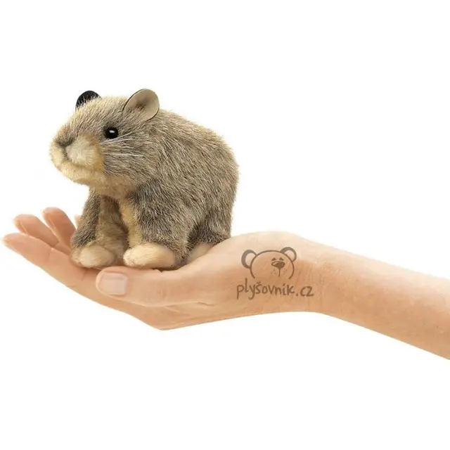 Pišťucha pika na prst