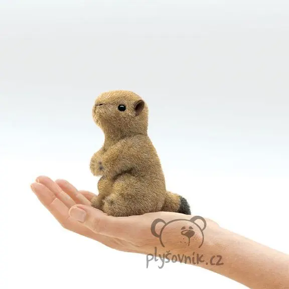 Psoun prériový na prst