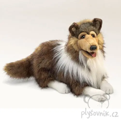 Dlouhosrstá kolie Lassie