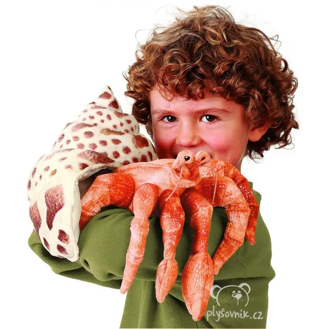 Rak poustevníček