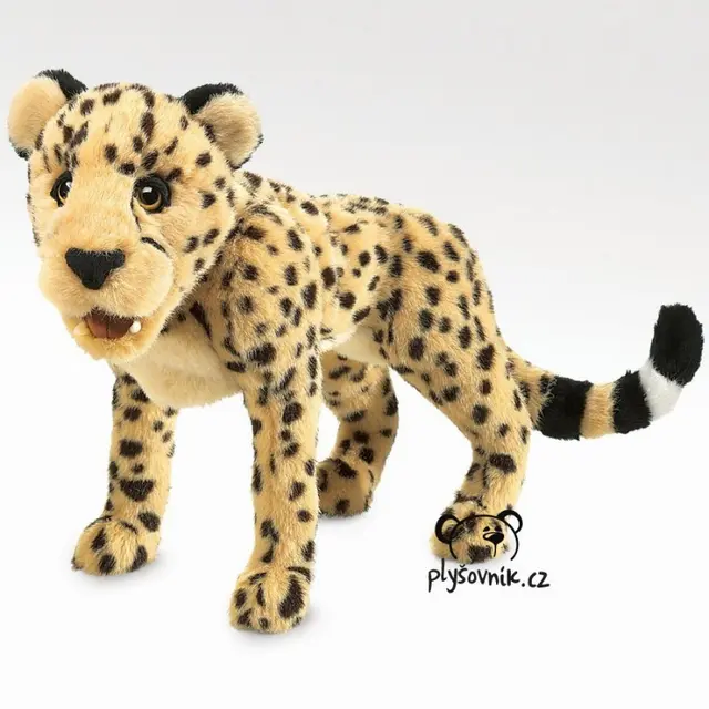 Velký gepard